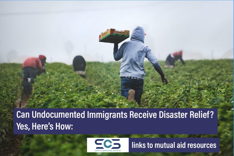Workers in a field. Disaster relieve for undocumented immigrants is available. Here are resources. 